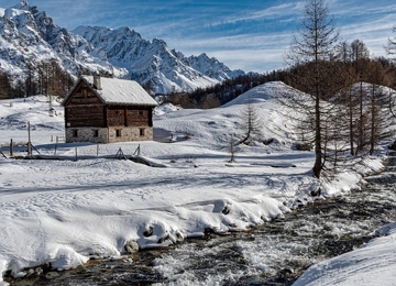 Paisagem com &aacute;rvores e uma casa coberta com neve