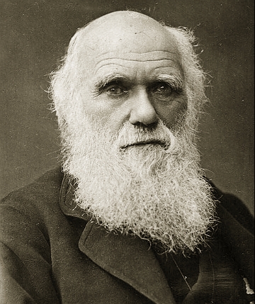 Charles Darwin Foto de Charles Darwin com 46 anos