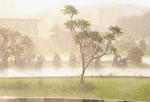 Foto de uma chuva forte numa região com árvores