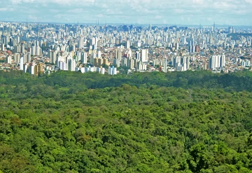 Trecho do cintur&atilde;o verde da cidade de S&atilde;o Paulo
