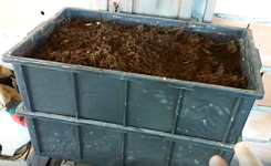 Composteira doméstica, produção de adubo orgânico