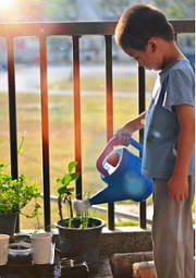 Foto de uma Criança regando planta numa escola