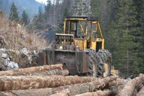 Trator removendo troncos de árvore de uma região de desmatamento