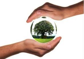 Duas mãos humanas envolvendo um globo de vidro com uma pequena árvore dentro