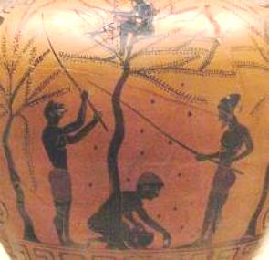 Pintura em vaso de cerâmica mostrando escravos trabalhando na agricultura em Atenas