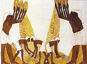 Pintura do Egito Antigo mostrando escravos trabalhando na agricultura