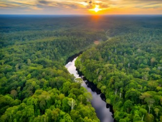 Floresta Amazônica Foto aérea da floresta Amazônica