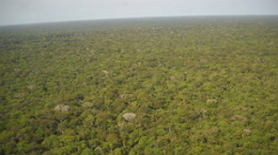 Vista aérea de uma área da Floresta Amazônica