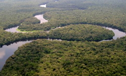 Floresta do Congo, exemplos de floresta tropical localizada no centro da África