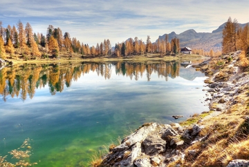 Foto de um lago cercado por &aacute;rvores