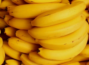 Foto de bananas da variedade nanica e maduras