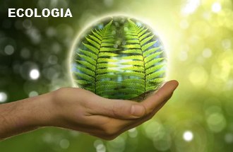 Imagem de uma mão segurando uma esfera formada por plantas
