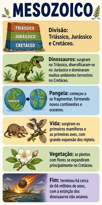 Infográfico com as principais características do Mesozoico Infográfico com as principais características do Mesozoico