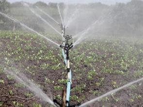 Irrigação agrícola