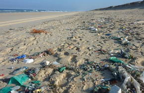 Foto da areia do mar suja com lixo marinho