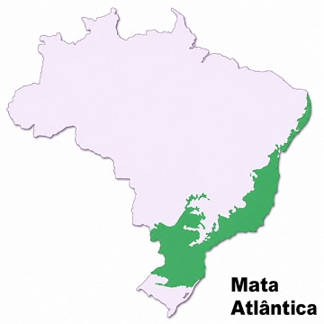 Localização da Mata Atlântica Mapa do Brasil mostrando a localização da Mata Atlântica