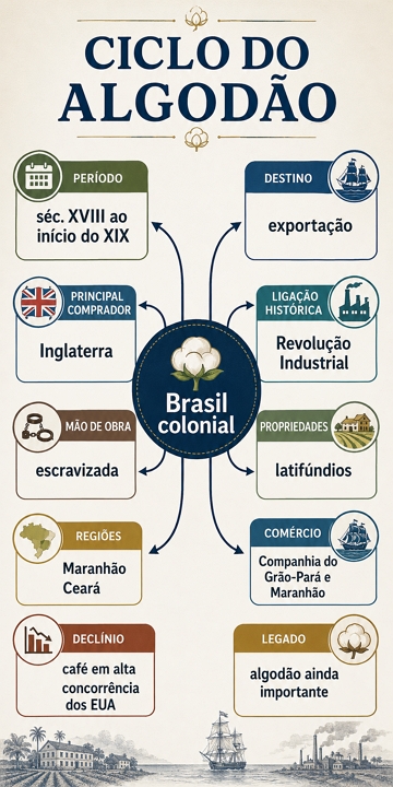 Mapa Mental sobre o Ciclo do Algodão Mapa Mental sobre o Ciclo do Algodão