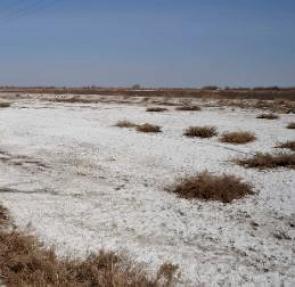 Área do Mar de Aral que passou por desertificação