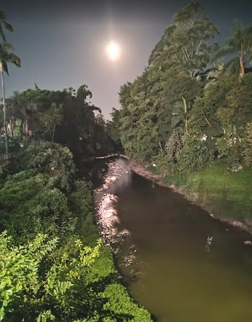 Foto de um rio com presença de vegetação de mata-ciliar Foto de um rio com presença de vegetação de mata-ciliar