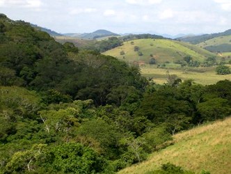 Região da Bahia com presença da vegetação de Mata Atlântica Foto mostrando uma região da Bahia com presença da vegetação de Mata Atlântica