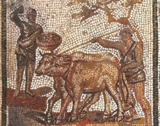 Mosaico mostrando o uso de bois na agricultura romana