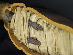 Múmia egípcia num sarcófago aberto