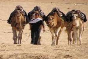 Berbere do norte da África: nomadismo