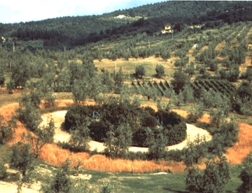 Círculos do Tempo Círculos do Tempo, exemplo de obra de Land Art