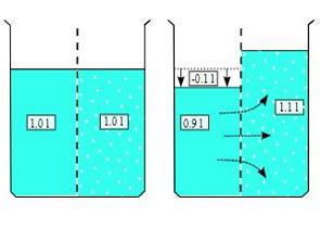 Ilustração mostrando o processo de osmose