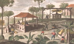 Refinaria de açúcar no Brasil colonial