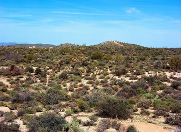 Paisagem de uma regi&atilde;o com pouca vegeta&ccedil;&atilde;o e montanhas ao fundo