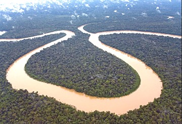 rio Amazonas Vista aérea de um trecho do rio Amazonas