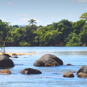 Foto de um rio com árvores nas margens e pedras na água.