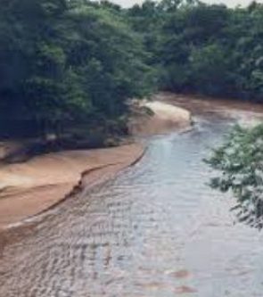 Foto de um rio com assoreamento