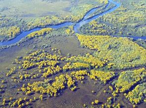 Imagem aérea de uma região do Pantanal