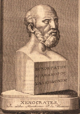 Pintura de um busto do filósofo Xenócrates